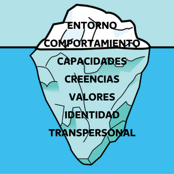 Verde Árbol Ecología Forestal Secundaria Imagen Perfil Schoology